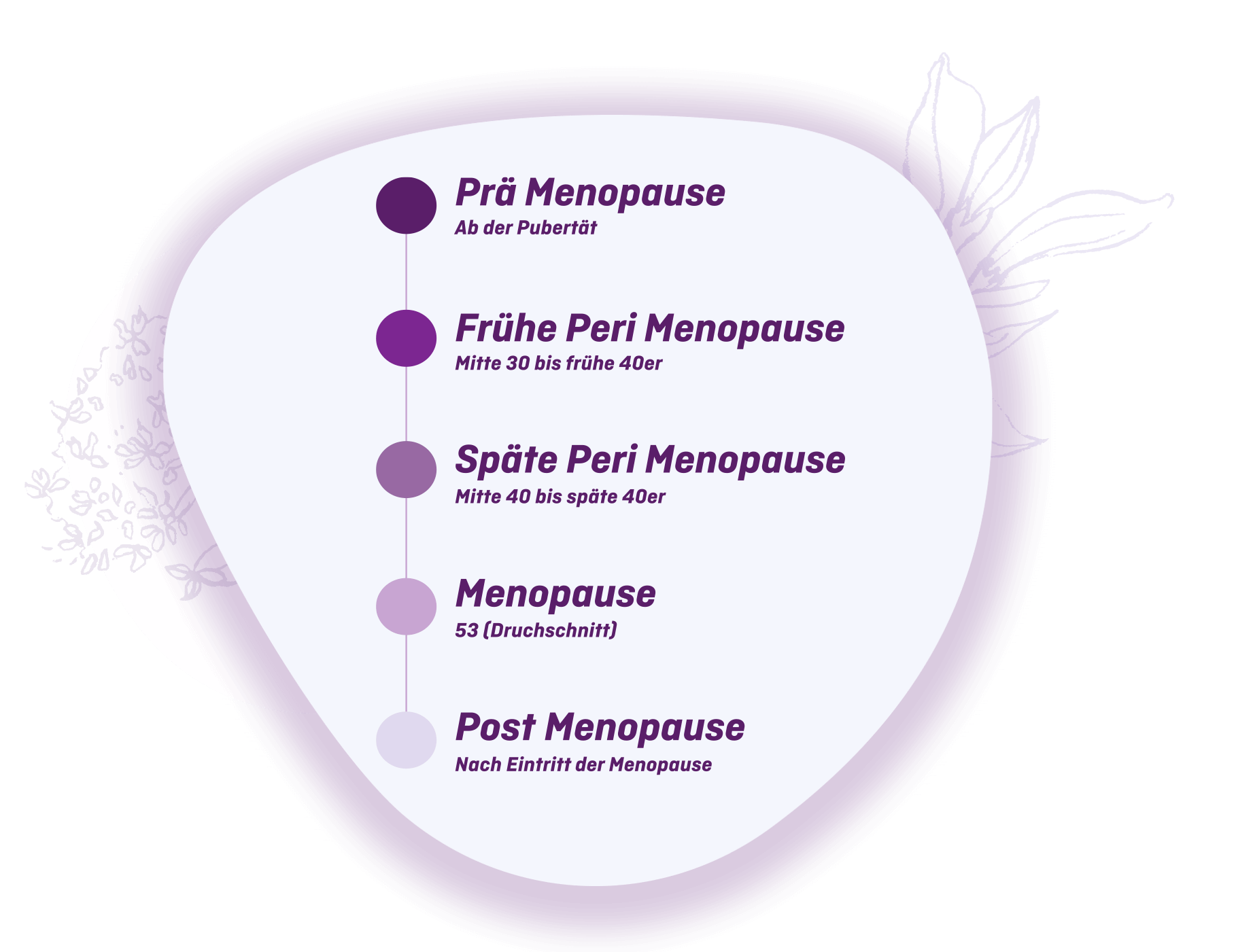 Phasen der Menopause