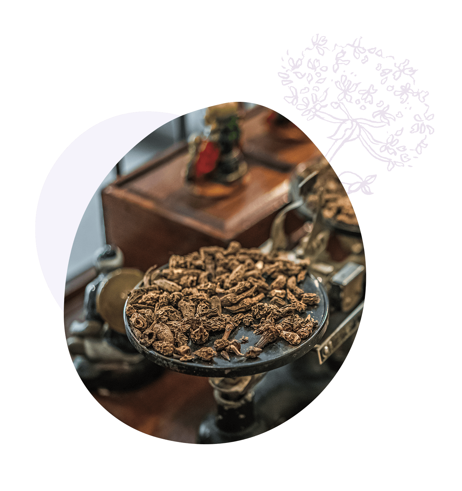 Heilkräuter auf der Waage